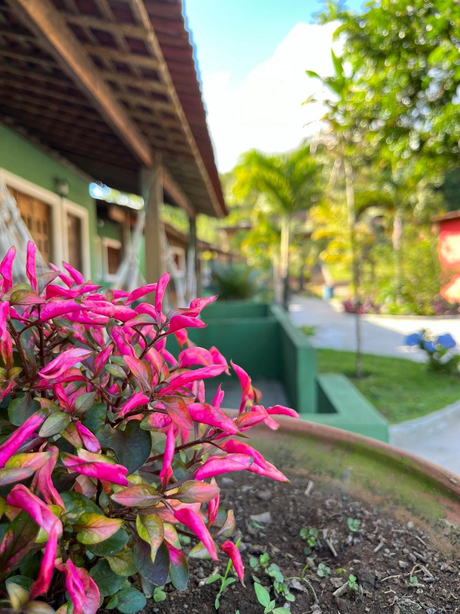 Pousada E Restaurante Alto Da Serra Bonito  Exteriér fotografie