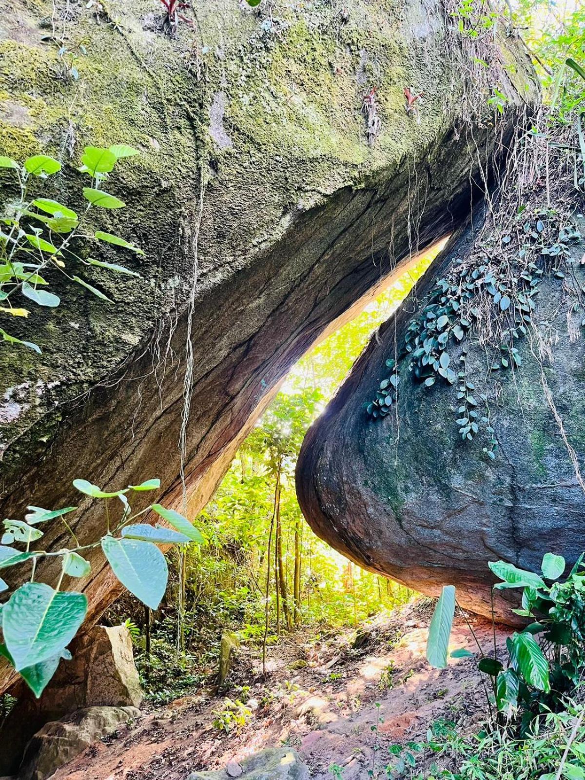 Pousada E Restaurante Alto Da Serra Bonito  Exteriér fotografie