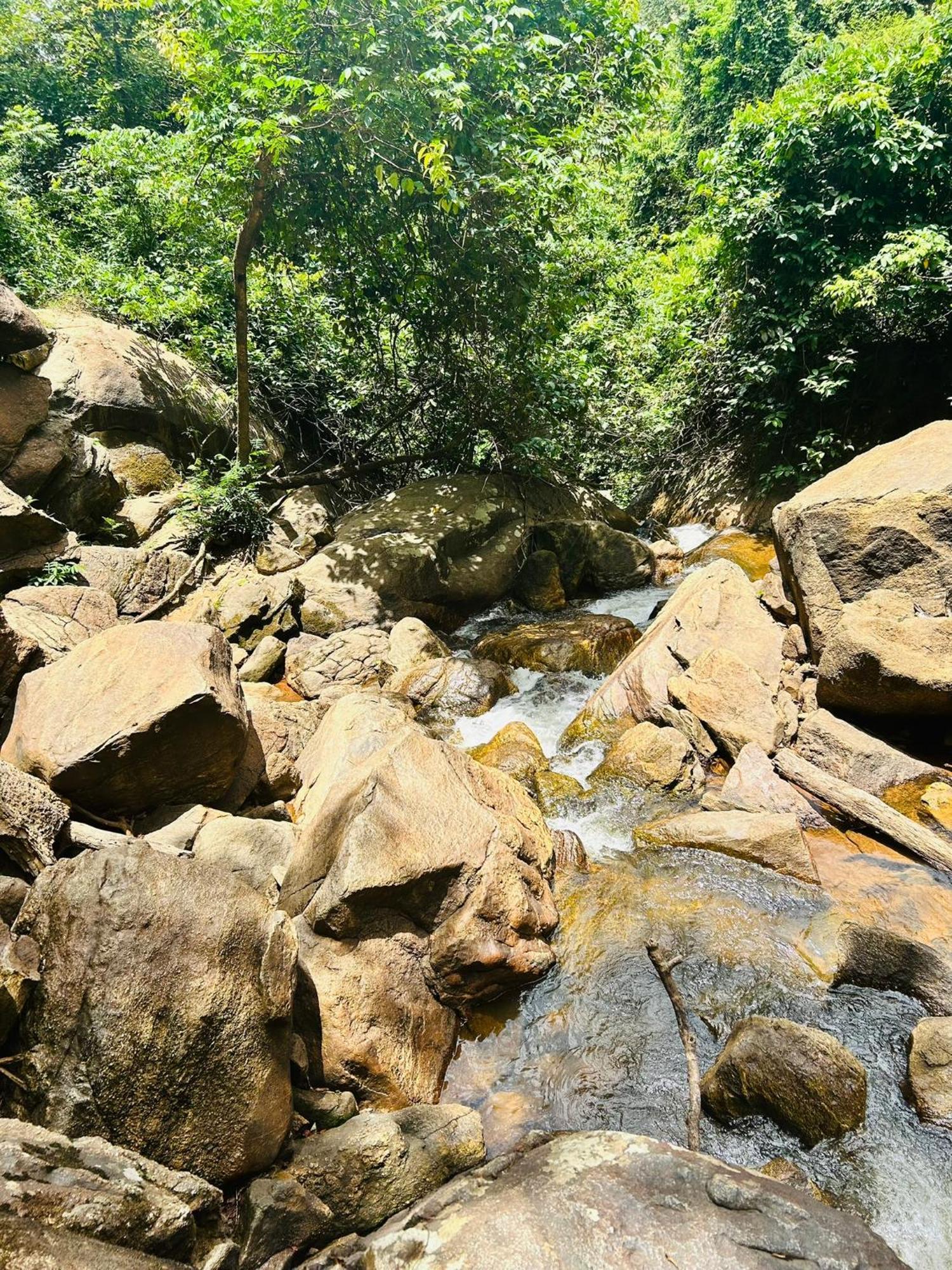 Pousada E Restaurante Alto Da Serra Bonito  Exteriér fotografie