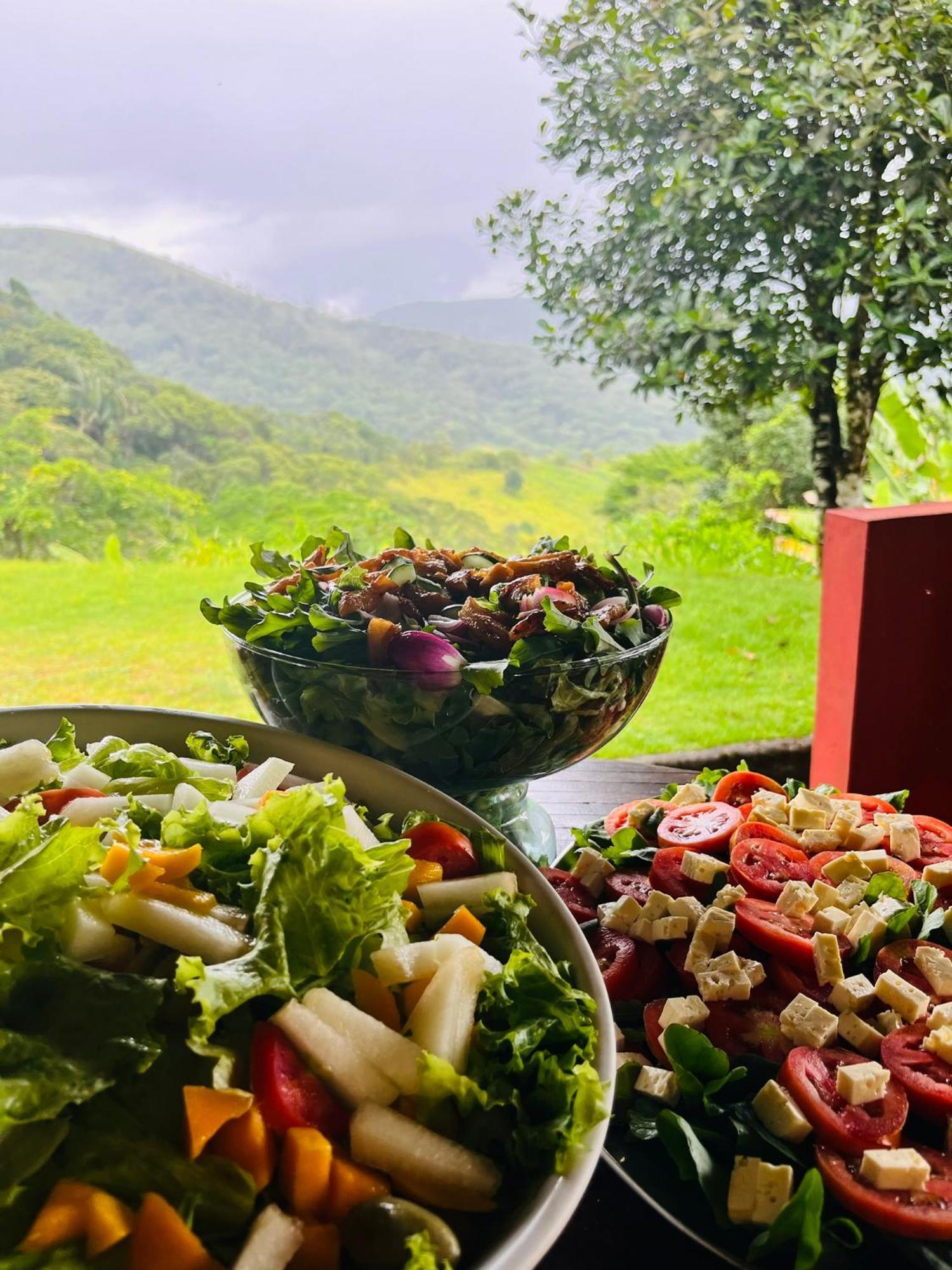 Pousada E Restaurante Alto Da Serra Bonito  Exteriér fotografie